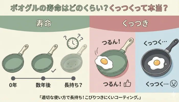 ボオグルの寿命はどのくらい？くっつくって本当？の画像