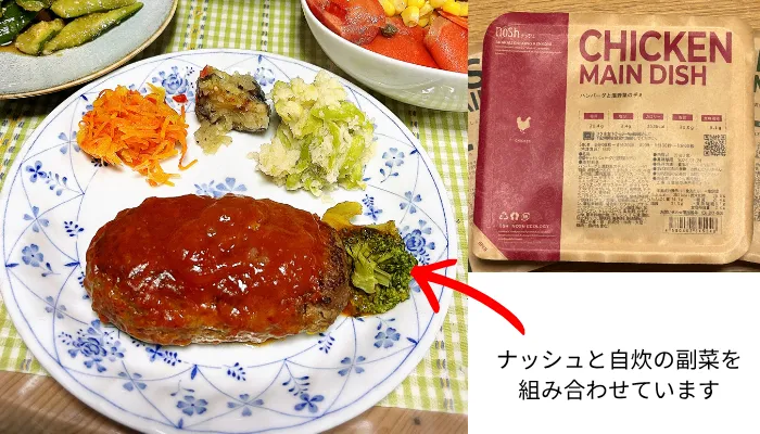 ナッシュのハンバーグと温野菜のデミ