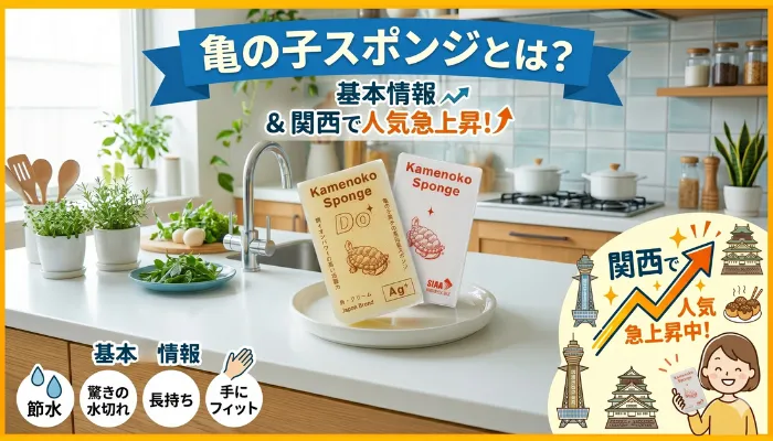 カメノコスポンジとは？