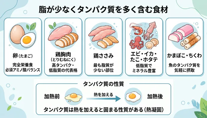 脂が少なくタンパク質を多く含む食材