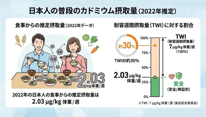 日本人の普段のカドミウム摂取量